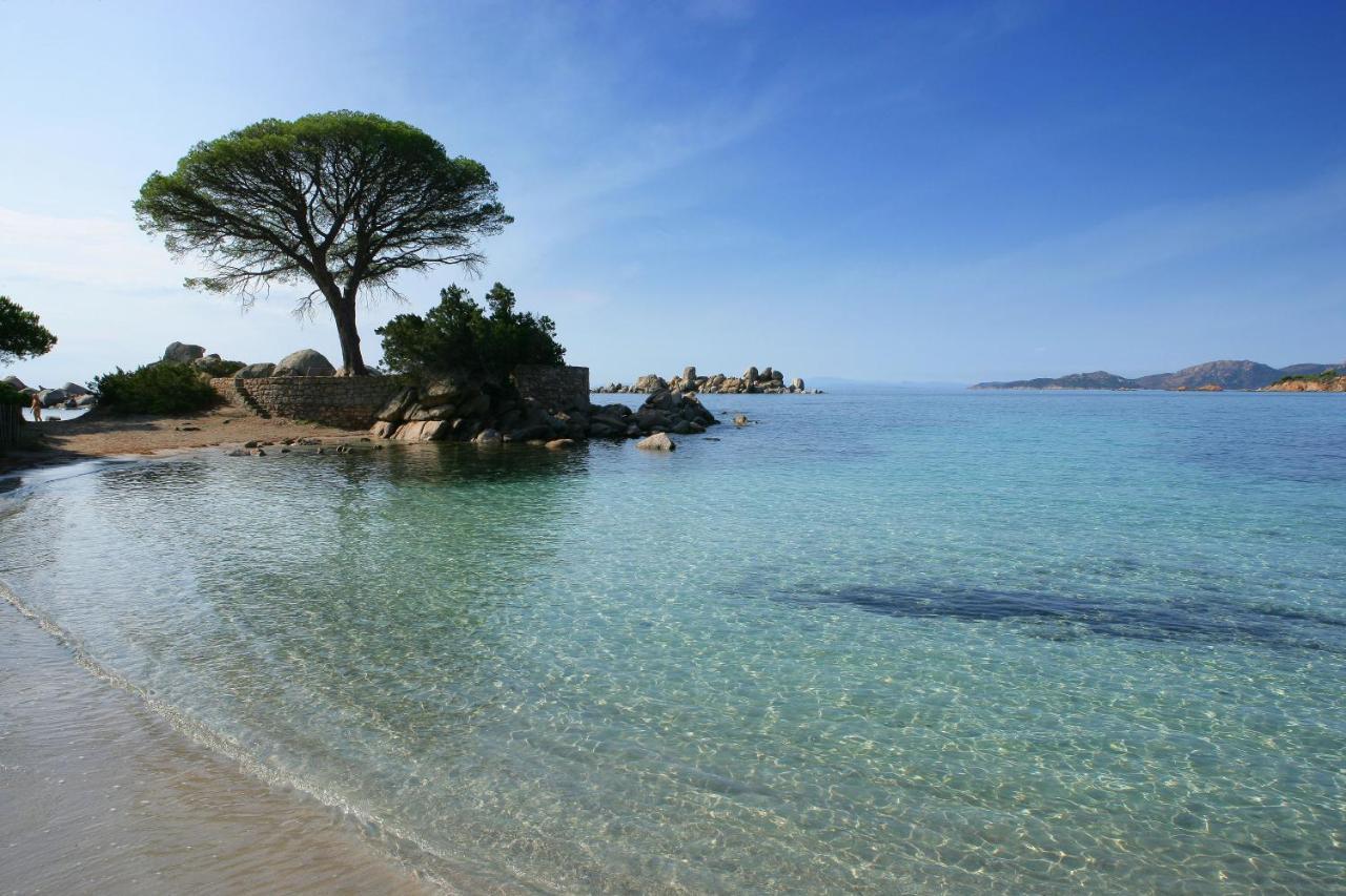 Hotel Golden Tulip Vecchio-ouverture été 2021 Porto-Vecchio (Corsica)